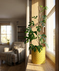 A bright yellow woven planter pot sits on a wooden windowsill, holding a leafy green plant with a winding branch. Sunlight streams through the window.