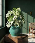 A vibrant pothos plant cascades from a teal, ridged planter pot, sitting atop a light wood shelf. The shelf also holds books and a geometric concrete object, with a window and white wall in the background.