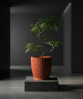 A green plant in an orange planter pot sits on a gray pedestal in a dark, modern room.