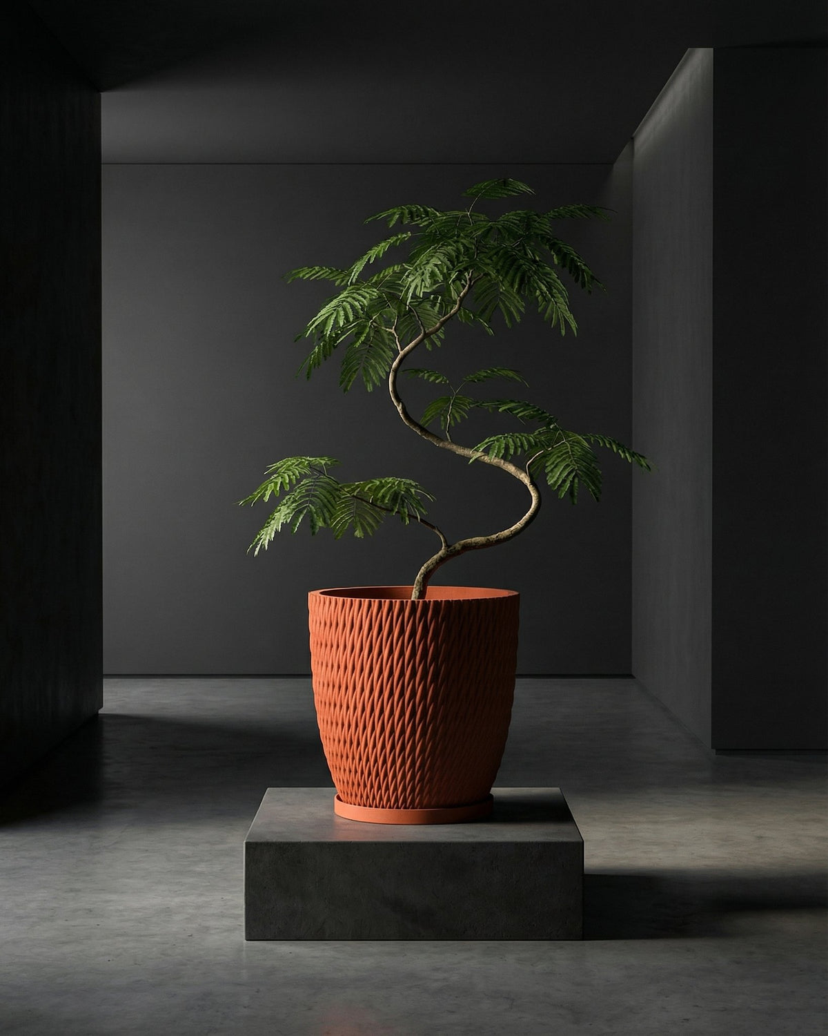 A green plant in an orange planter pot sits on a gray pedestal in a dark, modern room.