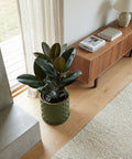 A green ivy plant in a green woven planter pot sits on a dark wood side table next to a gray couch in a living room.
