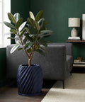 A rubber plant in a dark blue, spiral-patterned planter pot sits on a wooden floor next to a gray couch and a white rug.