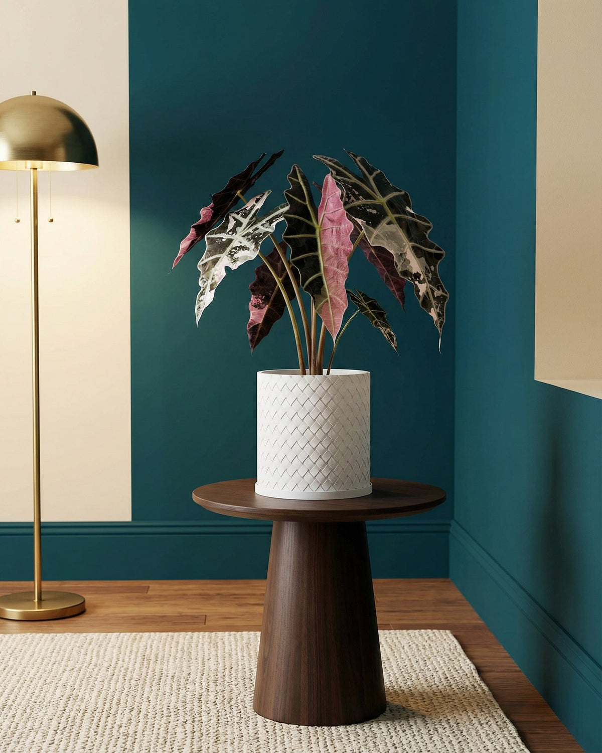 A white woven planter pot sits on a dark wood table in a room with a gold lamp and a teal and cream wall.