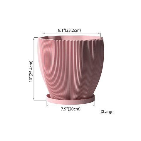 Candy Pink Coconut