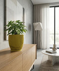A green plant sits in a yellow planter pot on a wooden cabinet in a modern living room. The planter pot is the focal point.