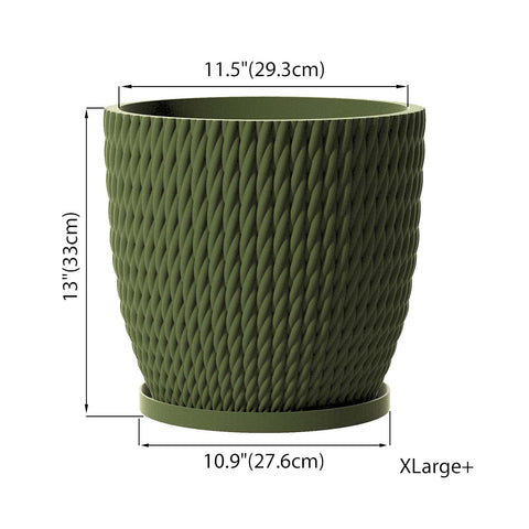 Avocado Green Vine
