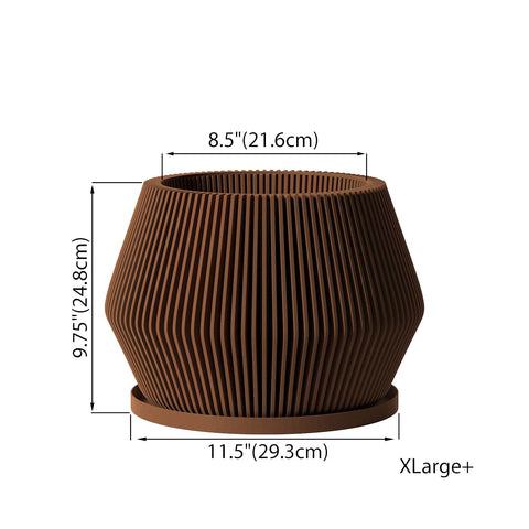 Nut Brown Echo