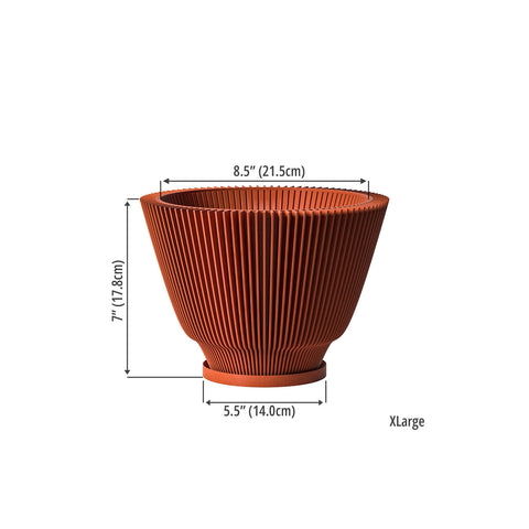 Terracotta Orange Dawn