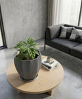 A gray, textured planter pot with a peace lily sits on a wooden console table in a modern entryway with a round mirror.
