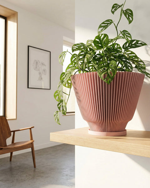 A pink planter pot with a Monstera adansonii plant sits on a wooden shelf in a well-lit room. The pot has a unique, vertically ribbed design. The plant's green leaves cascade over the pot's edge. A wooden chair and framed artwork are visible in the background.