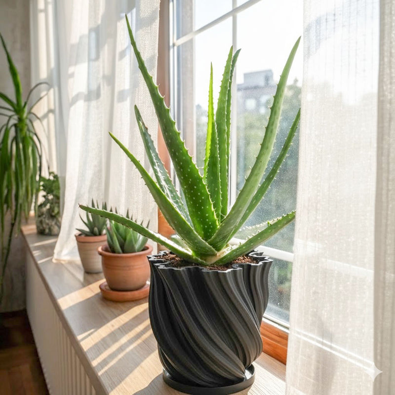 Charcoal Black Fractal