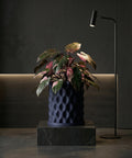 A Philodendron Pink Princess plant in a navy blue planter pot with a geometric design, sitting on a marble stand next to a black floor lamp.