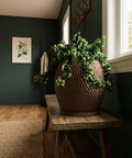 A brown planter pot with a green plant sits on a wooden bench in a room with dark green walls.