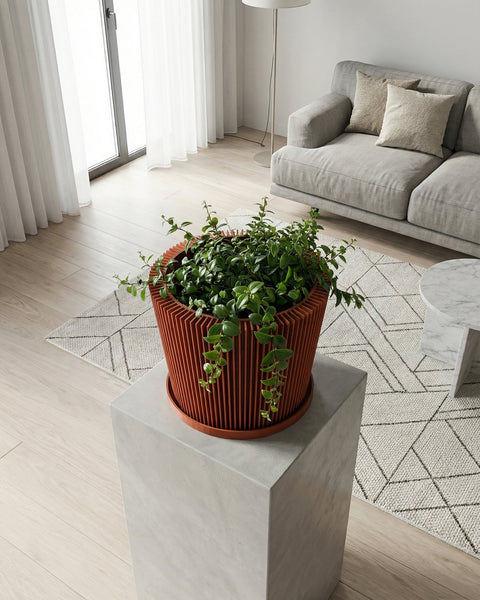 A terracotta planter with a green plant sits on a wooden table next to a gray couch with a throw blanket.