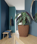 A brown planter pot with a green plant inside sits on a wooden table in a room with blue walls and a round mirror.
