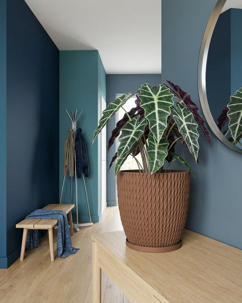 A brown planter pot with a green plant inside sits on a wooden table in a room with blue walls and a round mirror.