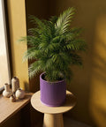 A vibrant green palm plant sits in a purple planter pot on a light wood table, next to a window with vases.