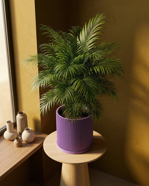 A vibrant green palm plant sits in a purple planter pot on a light wood table, next to a window with vases.