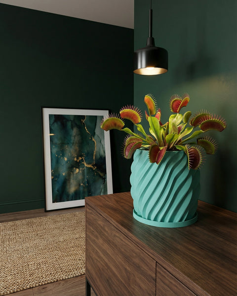 A Venus flytrap in a turquoise planter sits on a wooden cabinet with a framed print and a rug nearby.