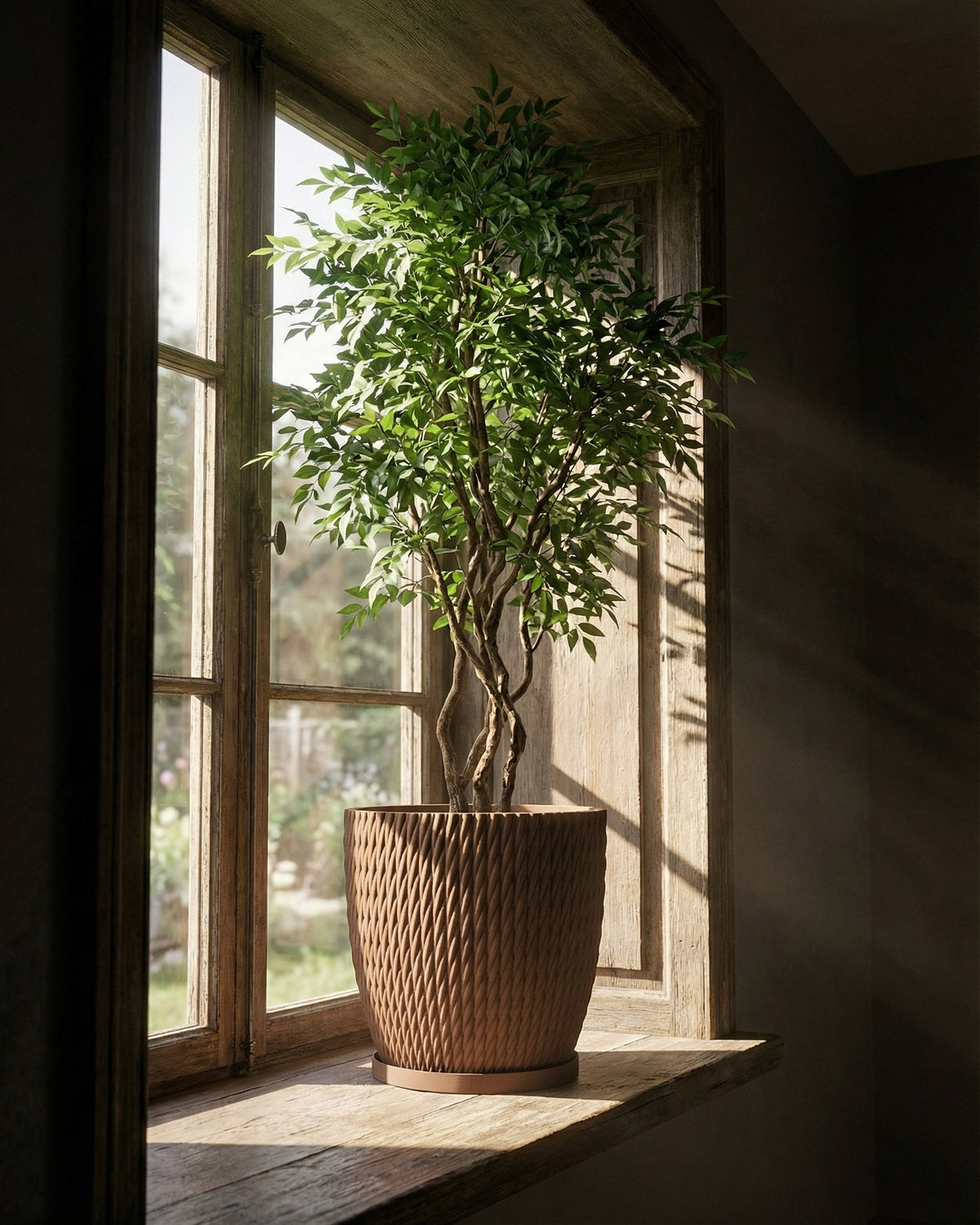 A brown planter pot with a tree inside sits on a wooden window sill with sunlight streaming through the window.