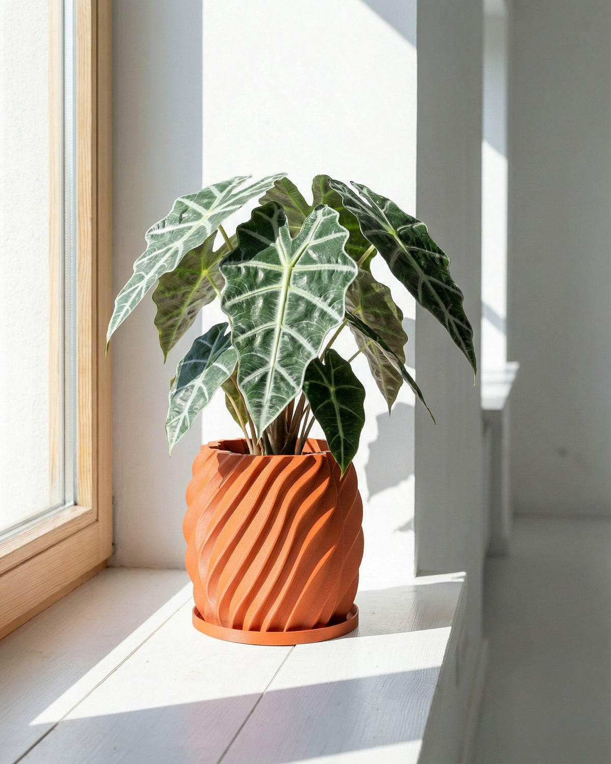 A green plant in an orange, textured planter pot sits on a white windowsill, bathed in sunlight.