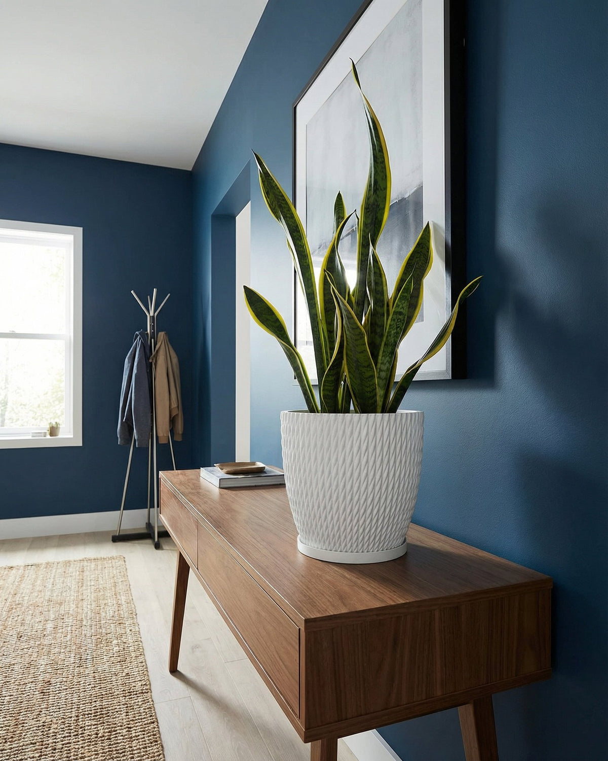 A snake plant in a white planter sits on a wooden console table in a blue entryway.