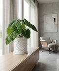 A green plant in a white geometric planter sits on a light wood cabinet in a modern room with a chair and artwork.
