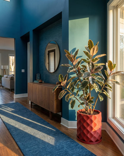 A vibrant red planter pot with a textured, geometric design holds a lush rubber plant in a sunlit entryway.