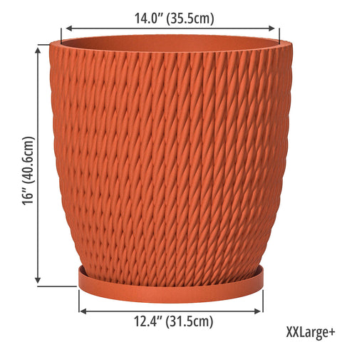 Terracotta Orange Vine