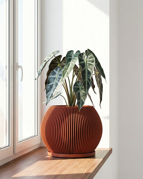 A plant in a ribbed, round, terracotta-colored planter sits on a wooden windowsill next to a bright window.