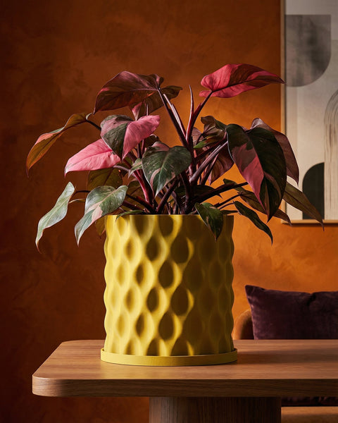 A vibrant Philodendron Pink Princess plant is potted in a yellow, textured planter on a wooden table. The planter has a unique, modern design.