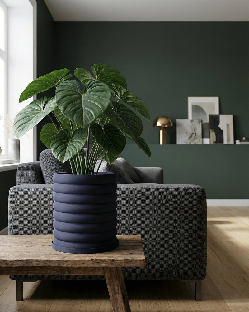 A ribbed, dark blue planter pot sits on a rustic wooden table, holding a lush green plant with large, heart-shaped leaves.