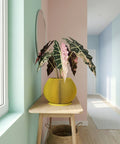 A yellow planter pot with a plant inside sits on top of a wooden cabinet. The planter pot has a unique vertical ribbed design. The plant has large, green leaves with white variegation. The background is a modern interior with a window and concrete wall.