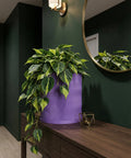 A purple planter pot with a green and yellow plant sits on a wooden table next to a gold candle holder. A round mirror hangs on the green wall behind the plant.