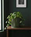A green planter pot with a houseplant sitting on a windowsill.