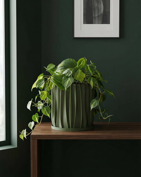 A green planter pot with a houseplant sitting on a windowsill.