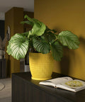 A yellow planter pot with a plant on top of a dark brown cabinet with a book on it.
