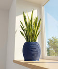 A snake plant in a blue, textured planter pot sits on a wooden windowsill next to a bright window.