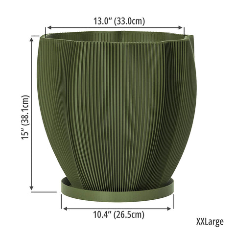 Avocado Green Coconut