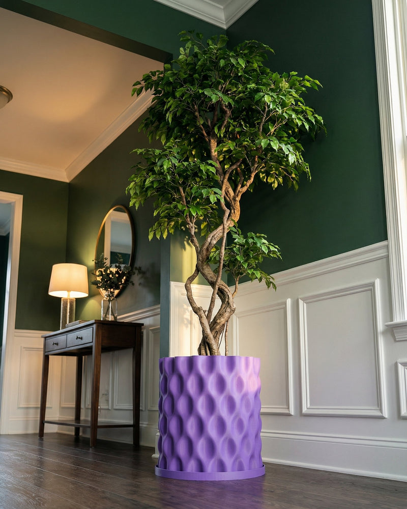 A tall tree in a purple planter pot sits in a room with dark green walls and white trim.