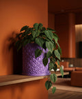 A purple geometric planter pot sits on a wooden shelf, filled with a lush green plant. The background is a warm orange hue.