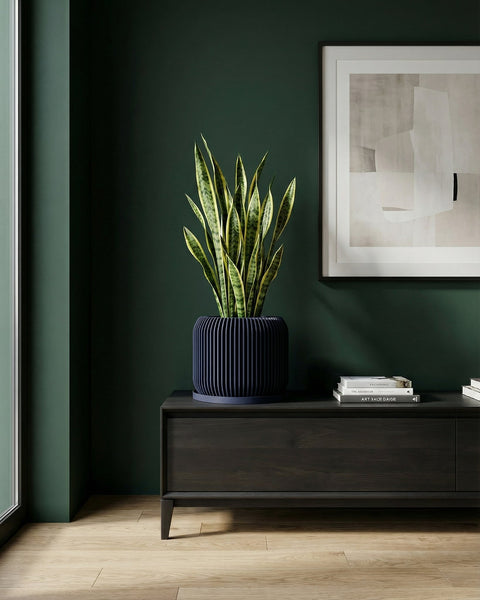 A Begonia Maculata plant in a dark blue planter pot with a geometric pattern, sitting on a wooden surface against a yellow background.