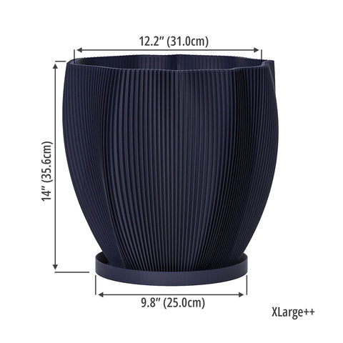 Deep Ocean Blue Coconut