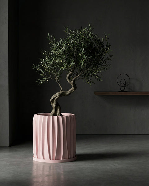 A pink planter pot with a green plant sits on a white windowsill, bathed in sunlight. The pot has a textured, woven design.