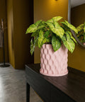 A pink planter pot with a green plant sits on a dark brown table in a room with yellow walls and a mirror.