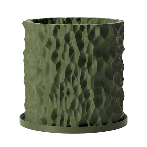 Avocado Green Terra