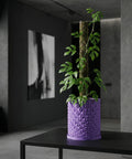A purple planter pot with a geometric design sits on a black table, holding a green plant with a moss pole.