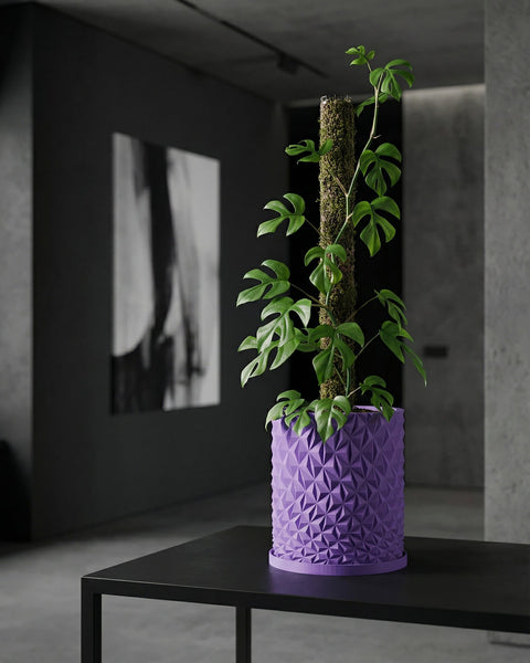 A purple planter pot with a geometric design sits on a black table, holding a green plant with a moss pole.