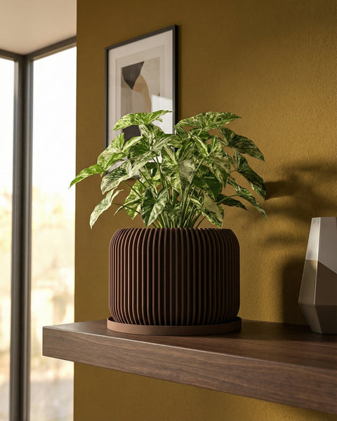 A begonia plant sits in a brown planter pot with a geometric pattern, placed on a wooden table against a yellow wall.