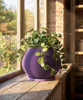 A vibrant purple planter pot holds a lush green palm plant, set against a dark, modern interior with a sleek cabinet and window blinds. The polished concrete floor reflects the ambient light, highlighting the pot's unique ribbed texture.